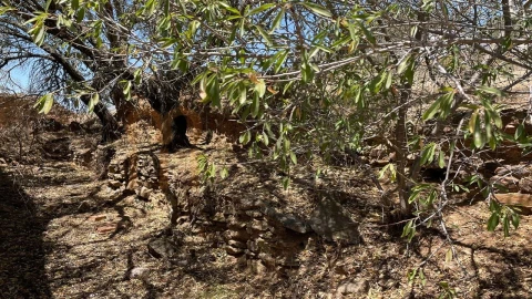 Moradia para Venda em Corte do Pinto
