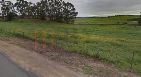 Terreno para Venda em São Miguel do Pinheiro, São Pedro de Solis, São Sebastião dos Carros