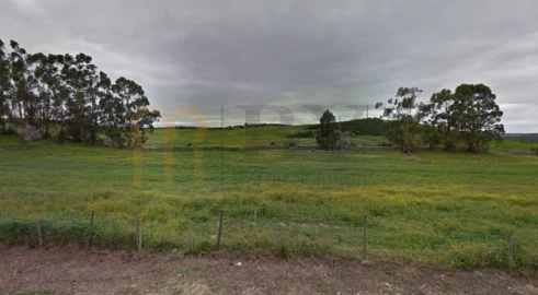 Terreno para Venda em São Miguel do Pinheiro, São Pedro de Solis, São Sebastião dos Carros