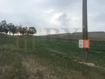 Terreno para Venda em São Miguel do Pinheiro, São Pedro de Solis, São Sebastião dos Carros