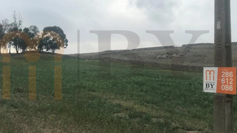 Terreno para Venda em São Miguel do Pinheiro, São Pedro de Solis, São Sebastião dos Carros