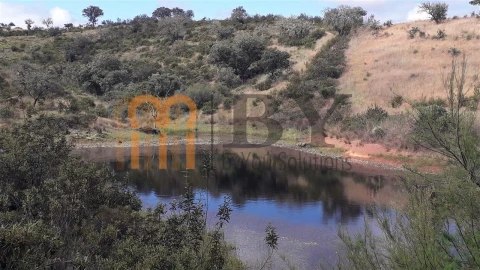 Quinta para Venda em Mertola