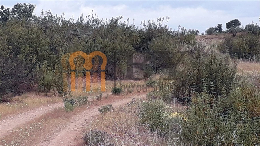 Quinta para Venda em Mertola Foto 2