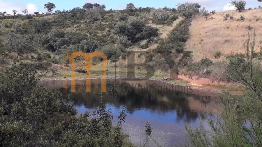 Quinta para Venda em Mertola