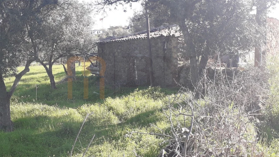 Terreno para Venda em São Miguel do Pinheiro, São Pedro de Solis, São Sebastião dos Carros