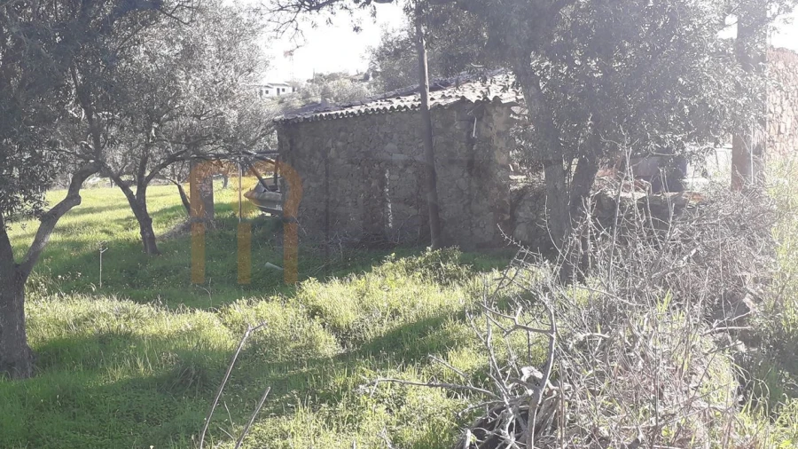 Terreno para Venda em São Miguel do Pinheiro, São Pedro de Solis, São Sebastião dos Carros