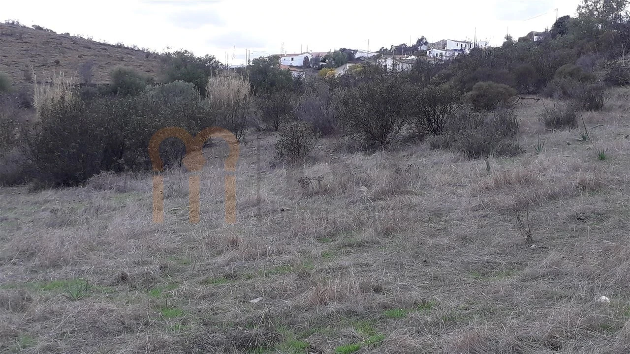 Terreno Agricola ou Rústico para Venda em Espirito Santo Foto 4