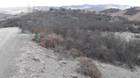 Terreno Agricola ou Rústico para Venda em Espirito Santo