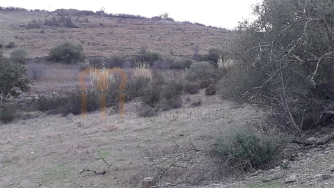 Terreno Agricola ou Rústico para Venda em Espirito Santo
