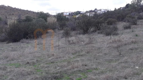 Terreno Agricola ou Rústico para Venda em Espirito Santo