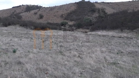 Terreno Agricola ou Rústico para Venda em Espirito Santo