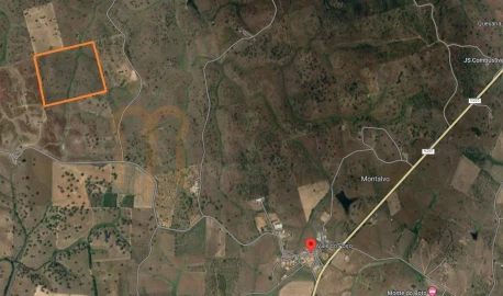 Terreno Agricola ou Rústico para Venda em Santana de Cambas