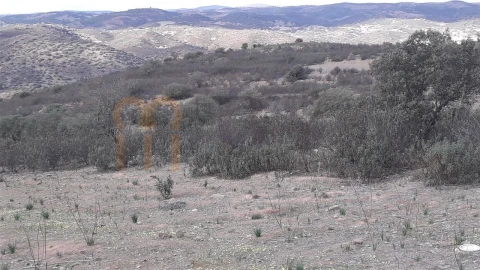 Terreno Agricola ou Rústico para Venda em Espirito Santo