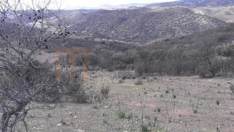 Terreno Agricola ou Rústico para Venda em Espirito Santo