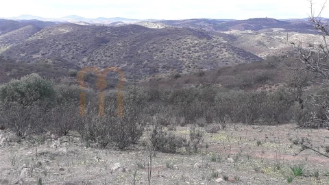 Terreno Agricola ou Rústico para Venda em Espirito Santo