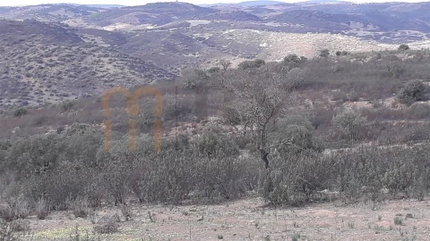 Terreno Agricola ou Rústico para Venda em Espirito Santo