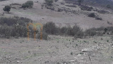 Terreno Agricola ou Rústico para Venda em Espirito Santo