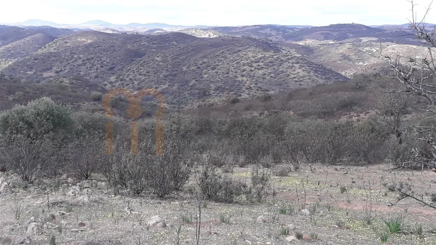 Terreno Agricola ou Rústico para Venda em Espirito Santo Foto 5