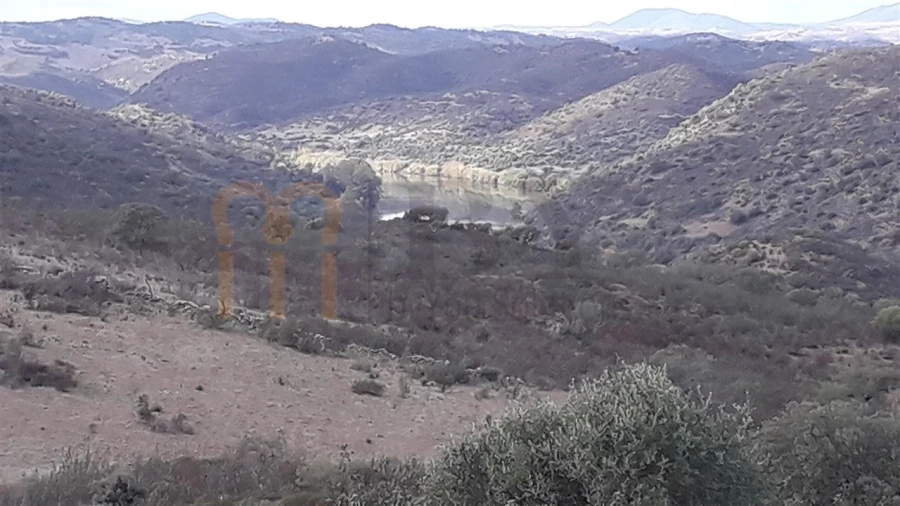 Terreno Agricola ou Rústico para Venda em Espirito Santo Foto 6