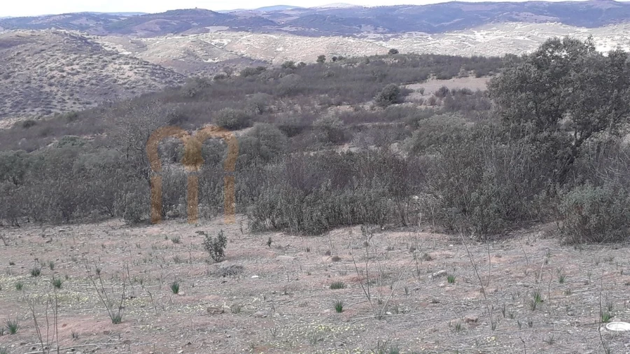 Terreno Agricola ou Rústico para Venda em Espirito Santo