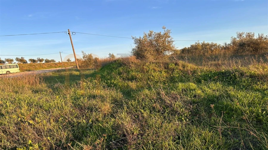 Terreno para Venda em Nossa Senhora da Conceição e São Bartolomeu Foto 4