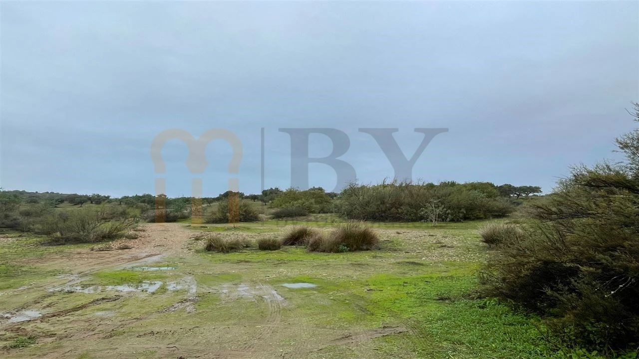 Quinta T4 para Venda em Serpa (Salvador e Santa Maria) Foto 11