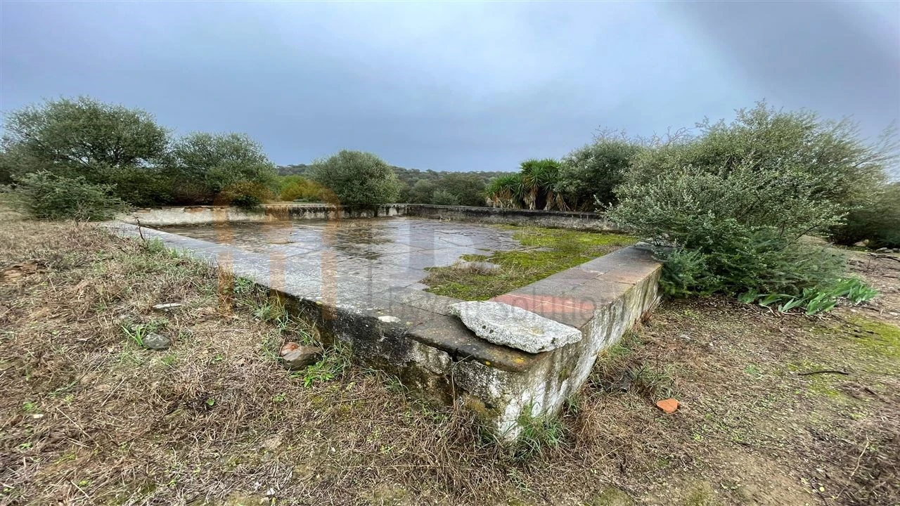 Quinta T4 para Venda em Serpa (Salvador e Santa Maria) Foto 15