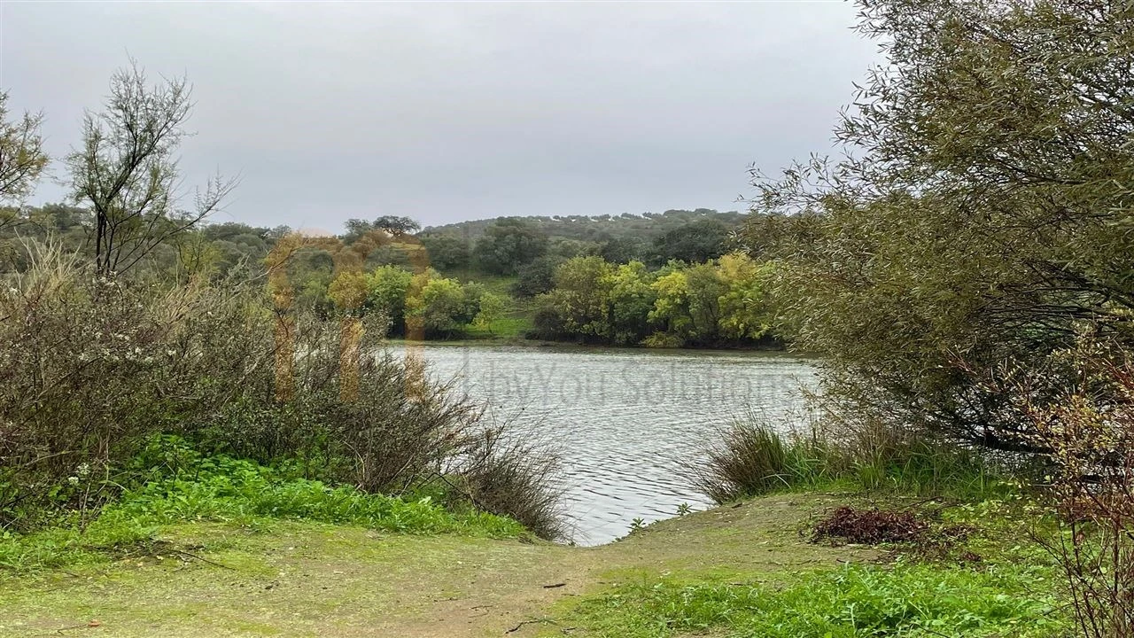 Quinta T4 para Venda em Serpa (Salvador e Santa Maria) Foto 17