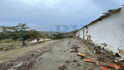 Quinta T4 para Venda em Serpa (Salvador e Santa Maria)