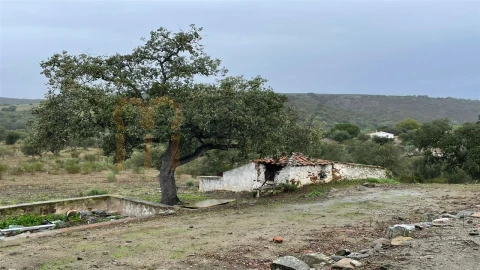 Quinta T4 para Venda em Serpa (Salvador e Santa Maria)