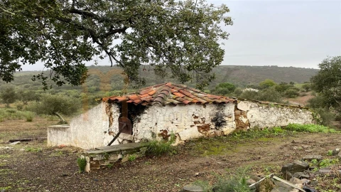 Quinta T4 para Venda em Serpa (Salvador e Santa Maria)