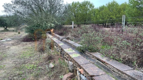 Quinta T4 para Venda em Serpa (Salvador e Santa Maria)