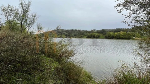 Quinta T4 para Venda em Serpa (Salvador e Santa Maria)