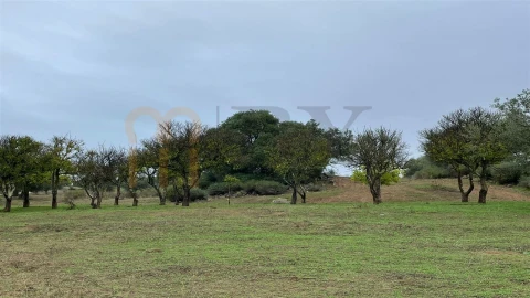 Quinta T4 para Venda em Serpa (Salvador e Santa Maria)