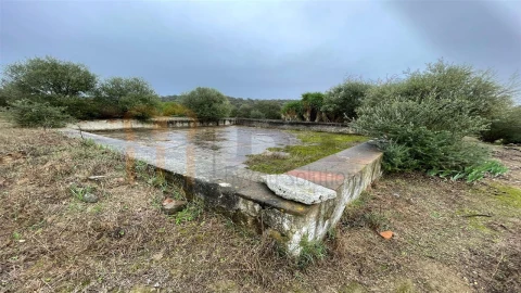 Quinta T4 para Venda em Serpa (Salvador e Santa Maria)