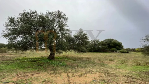 Quinta T4 para Venda em Serpa (Salvador e Santa Maria)