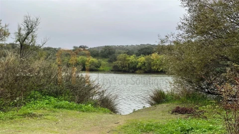 Quinta T4 para Venda em Serpa (Salvador e Santa Maria)