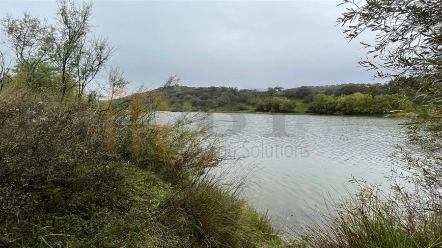 Quinta T4 para Venda em Serpa (Salvador e Santa Maria) Foto 12