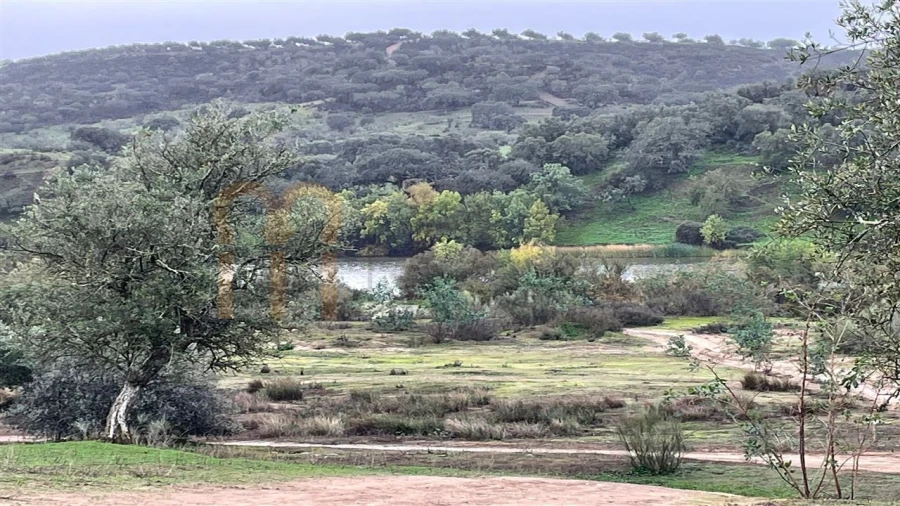 Quinta T4 para Venda em Serpa (Salvador e Santa Maria) Foto 14