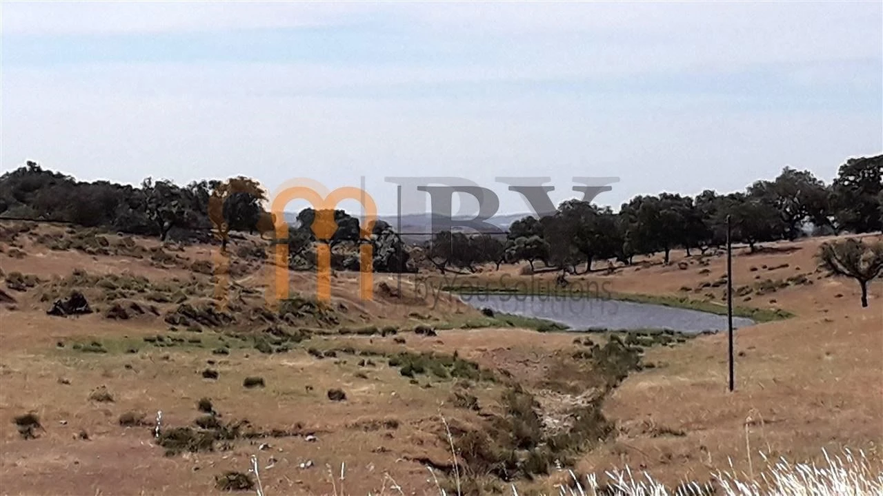 Quinta para Venda em Corte do Pinto Foto 4