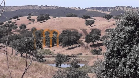 Quinta para Venda em Corte do Pinto