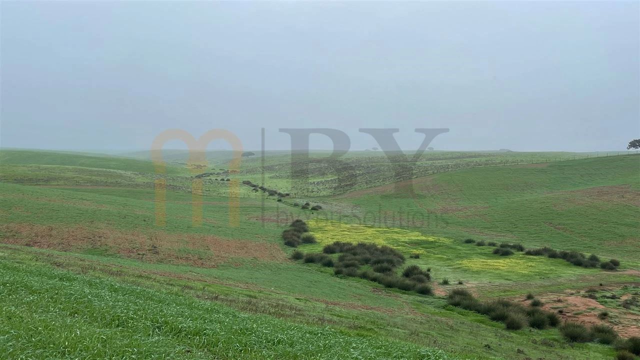 Quinta para Venda em Beja (Santiago Maior e São João Baptista) Foto 3