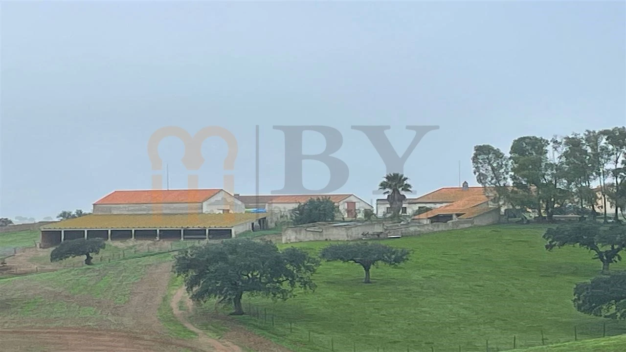 Quinta para Venda em Beja (Santiago Maior e São João Baptista) Foto 6