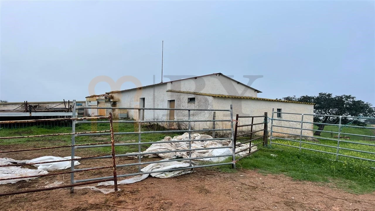 Quinta para Venda em Beja (Santiago Maior e São João Baptista) Foto 12