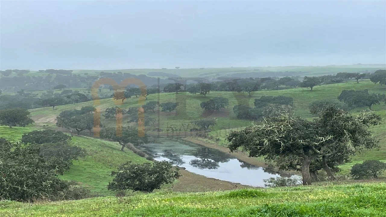 Quinta para Venda em Beja (Santiago Maior e São João Baptista) Foto 20