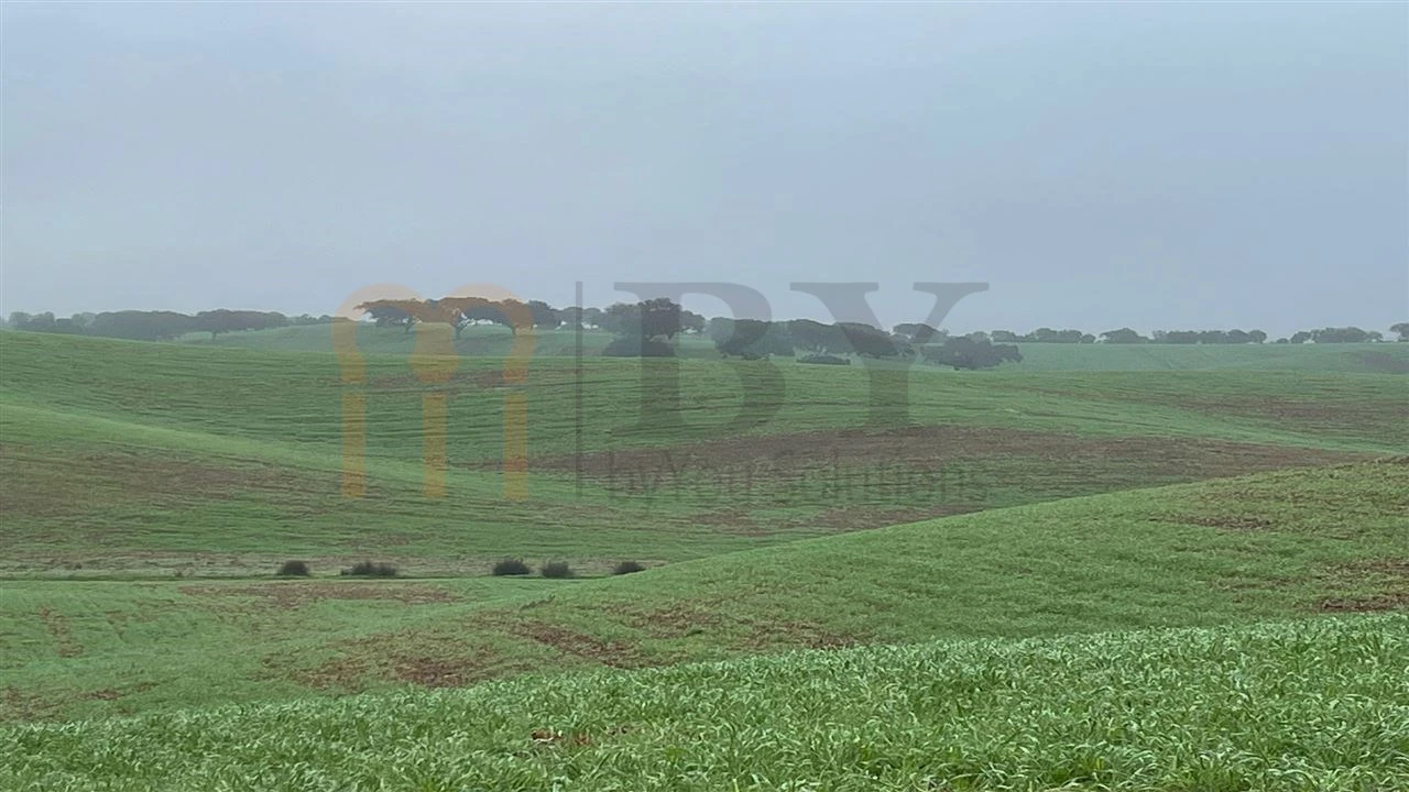 Quinta para Venda em Beja (Santiago Maior e São João Baptista) Foto 23