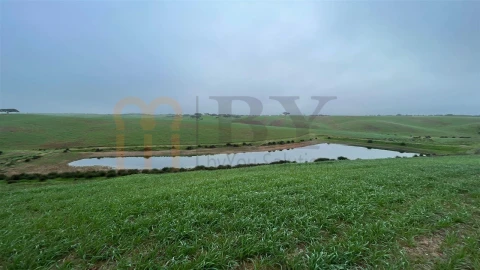 Quinta para Venda em Beja (Santiago Maior e São João Baptista)