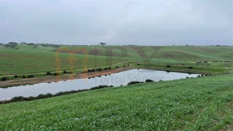 Quinta para Venda em Beja (Santiago Maior e São João Baptista)
