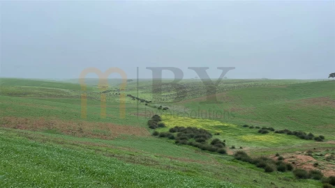 Quinta para Venda em Beja (Santiago Maior e São João Baptista)