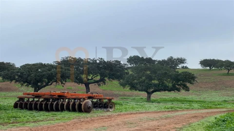 Quinta para Venda em Beja (Santiago Maior e São João Baptista)